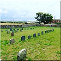 NY0843 : Allonby Quaker Burial Ground by Richard Thomas
