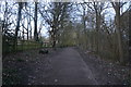 Path through the woods in Flatford