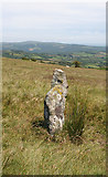 SX6767 : Old Waymarker Stone on Pupers Hill, Buckfastleigh Moor by Alan Rosevear