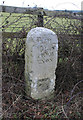 Old Milestone by the A38, near Harcombe Garage, Chudleigh parish