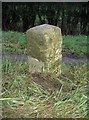 Old Milestone by the A339, Basingstoke Road, west of Alton