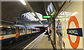 TQ3480 : North on Shadwell Overground station by Robin Stott