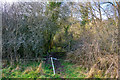 Mid Devon : Muddy Path