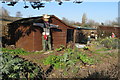 Allotment Gardens in Regents Park