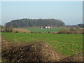 A distant view across Shoscombe