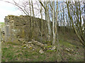 Ruins adjacent to Delph Hill Lane, Luddenden