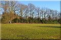 Late sunlight on recreation ground at Verwood