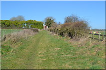 SU5434 : Grassy track at Itchen Down Farm by David Martin