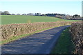 Stratton Lane, towards Burcot Farm