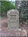 Old Boundary Marker by the B3420, Worthy Road, Abbotts Barton