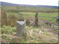 Old Milestone by the B743, Muirkirk parish