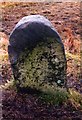 Old Milestone by Blawearie, Ashkirk parish