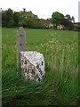 NH6389 : Old Milestone by the A949, near Little Creich, Kincardine parish by Milestone Society