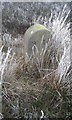 Old Boundary Marker on Knapley Hill, Hawksworth Moor, Bingley parish