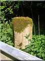 Old Milestone by the A834, Millnain, Dingwall parish