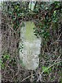 Old Milestone by the A48, Elton, Westbury on Severn parish