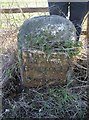 Old Milestone by the A342, Andover Road, Penton Grafton parish