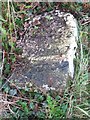 SO3090 : Old Milestone by the B4385, Upper Broughton, Lydham parish by A Reade/J Higgins