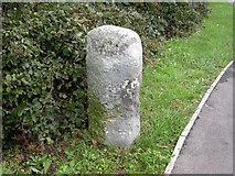 SZ1593 : Old Boundary Marker by the B3073, Fairmile Road, Christchurch by Milestone Society