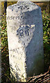 Old Milestone by the A3, near Nuthill Farm, Send parish