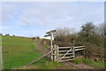 ST8412 : Finger post pointing up to Hambledon Hill by Tim Heaton