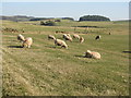 NT0848 : Farming landscape near Dunsyre by M J Richardson