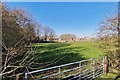 Sewage Works by Hodsock Lodge Farm