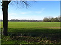 SJ8401 : Wrottesley Park View by Gordon Griffiths