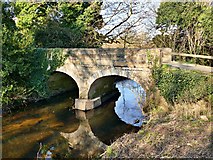 SK6285 : Bridge over the River Ryton by Graham Hogg