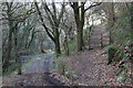 Track and footpath, Nanternis