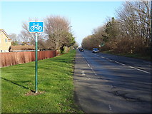NZ6022 : National Cycle Route 1, Redcar by JThomas
