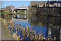 Bridge 137, Leeds & Liverpool Canal