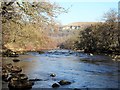 Downstream along the Swale