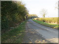 Tothby lane near to Spoil Bank