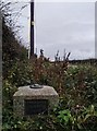 Ordnance Survey passive GPS station, Fisherton, Ayrshire