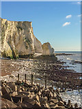 TV4898 : Stack, Seaford Head by Ian Capper