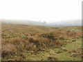 Descending Mynydd Bedwellte