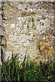 Benchmark on New Inn Farm wall