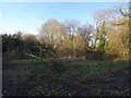 A marl pit near Sarnesfield