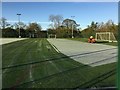 Mowing the Astroturf