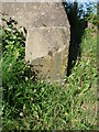 Old milemarker by Agecroft Road, Pendlebury