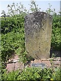 SK7385 : Old milemarker north of the B1403 bridge, Clayworth by Milestone Society