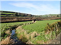 Stream emerging from below the railway embankment