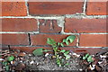 Part of benchmark on wall of Raynville  Road