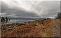 NH6049 : Gallowhill Wood and views over the Beauly Firth by valenta
