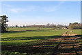 Farmland in Patshull Park, Shropshire