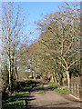 Estate road south-west of Patshull Hall in Staffordshire