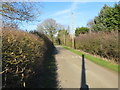 A hedge-lined Lodge Lane approaching the A158 near to Lodge Farm