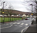 Zebra crossing, Greenfield Terrace, Pentrebach