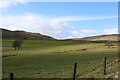 NS2656 : Farmland at Muirhead Reservoir by Billy McCrorie